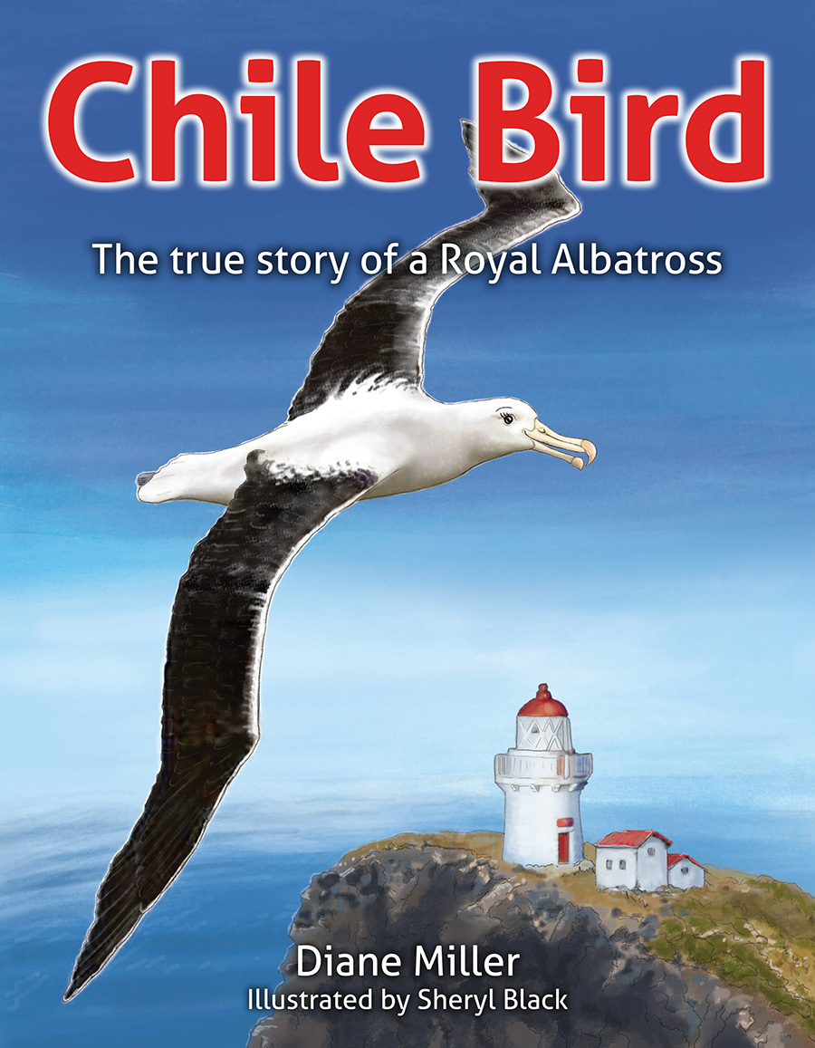 PICTURE BOOK .................... Chile Bird - The true story of a Royal Albatross